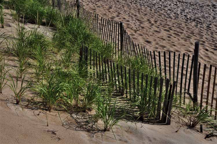 beach scene